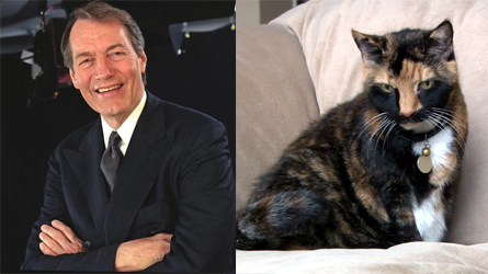 CRoseCat